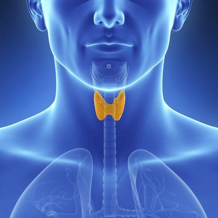 Thyroid Specialist in Pune